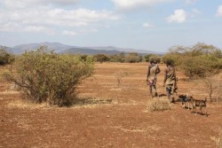 Hunter-gatherer men and women were equal